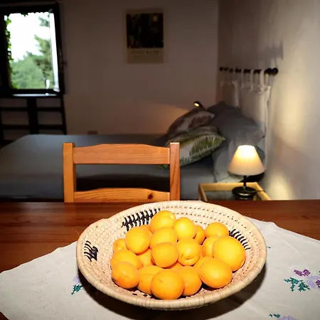 Casa Marju Montemassi