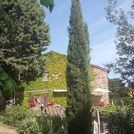 Casa Marju Montemassi