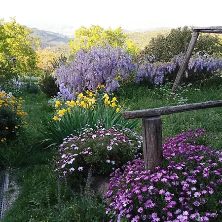 Εξοχικό σπίτι Casa Marju